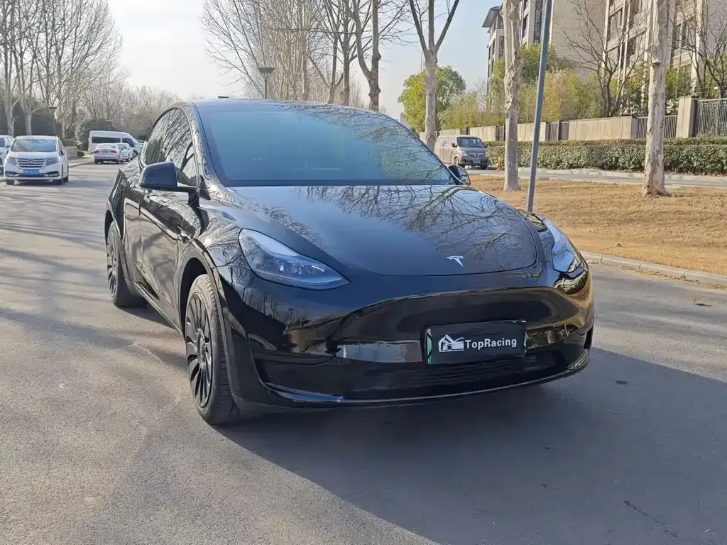 Tesla Model Y — фото 10