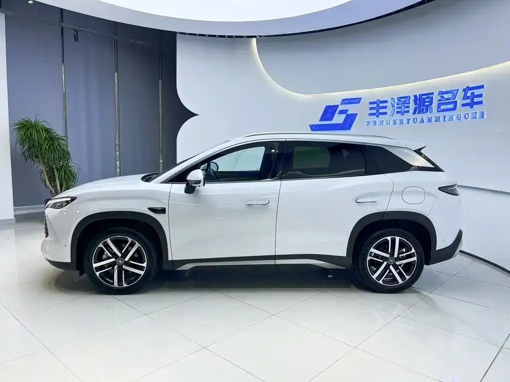 BYD L DM-i — фото 7