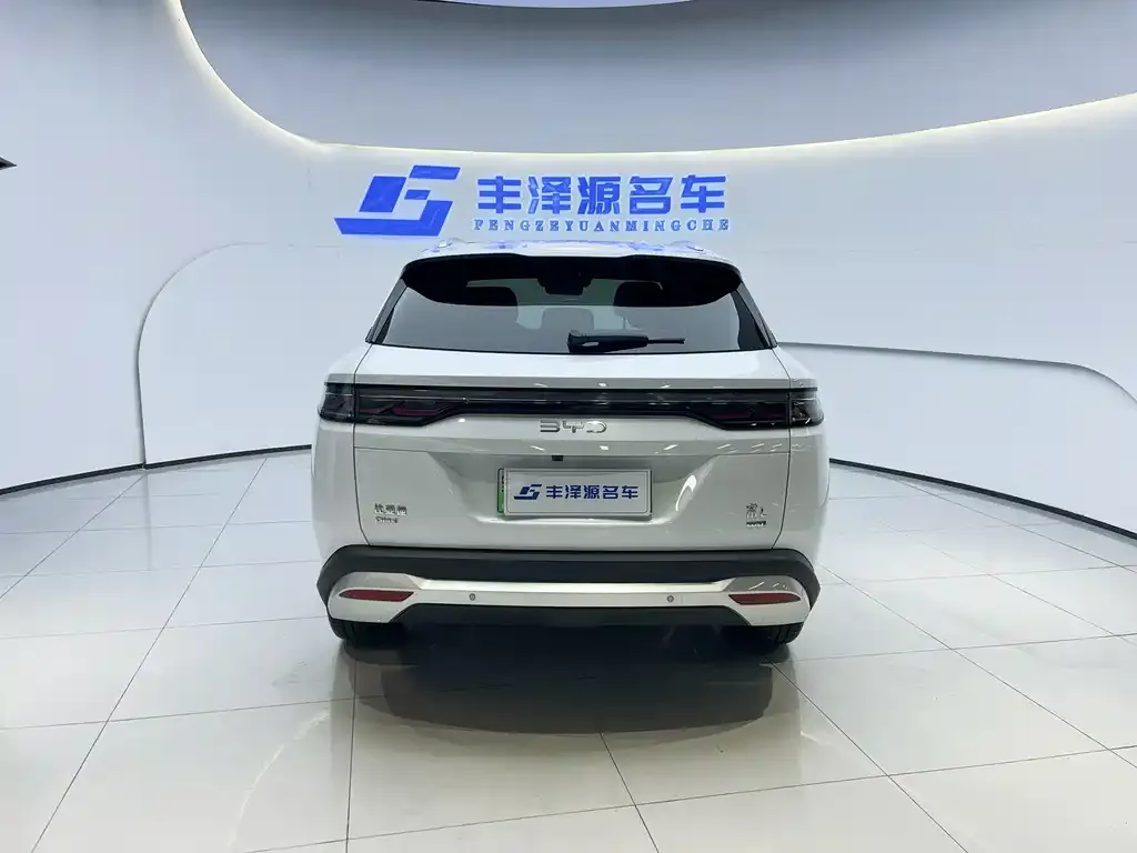 BYD L DM-i — фото 5