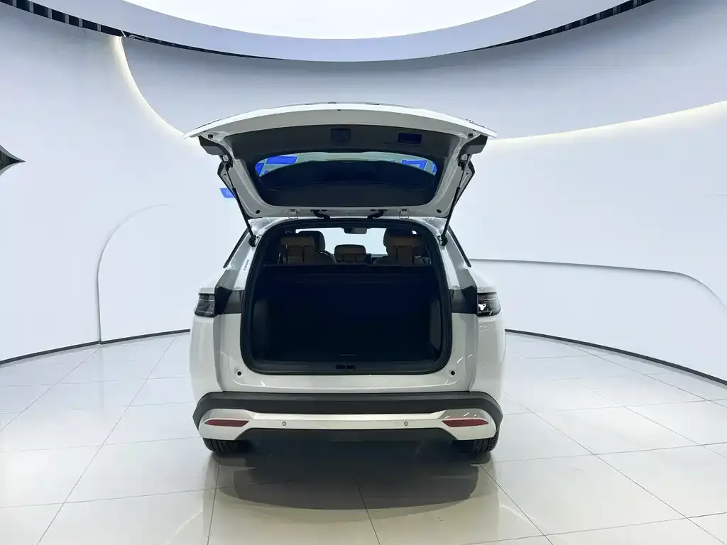 BYD L DM-i — фото 4