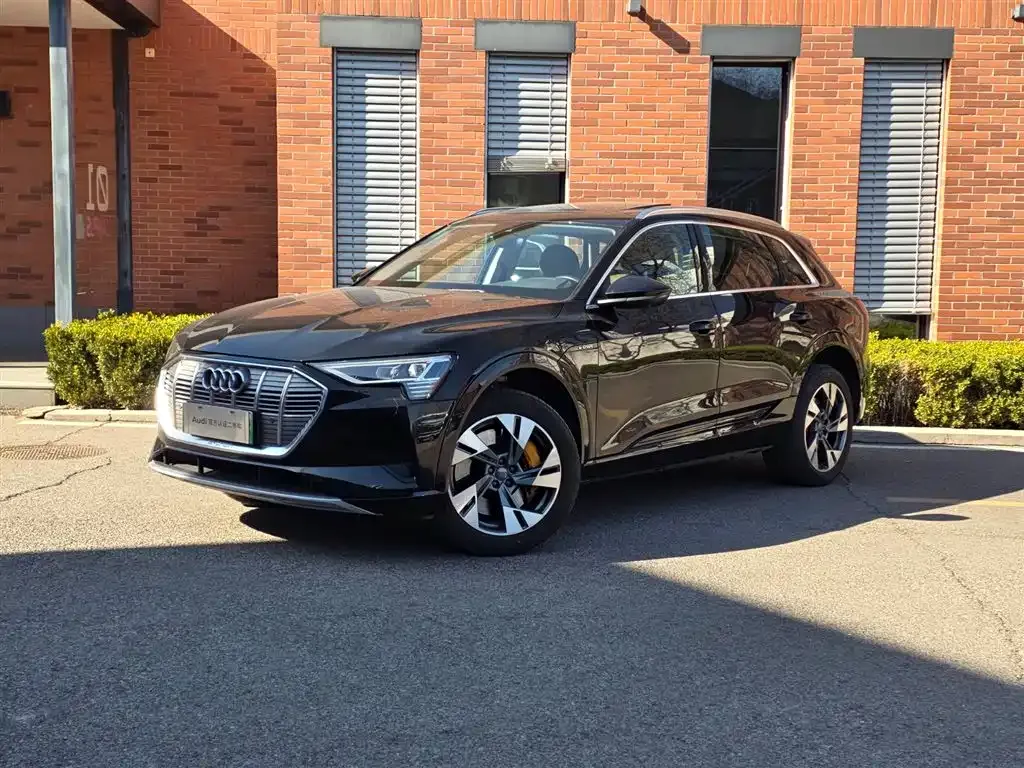 Audi e-tron (Import) — фото 1