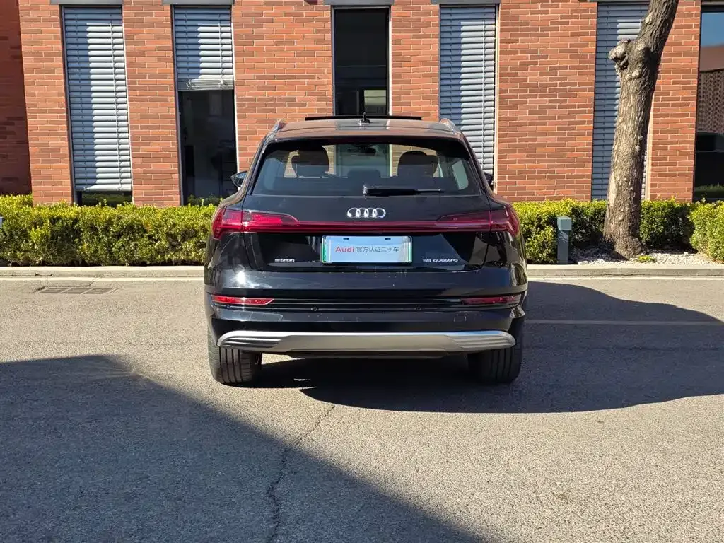 Audi e-tron (Import) — фото 9