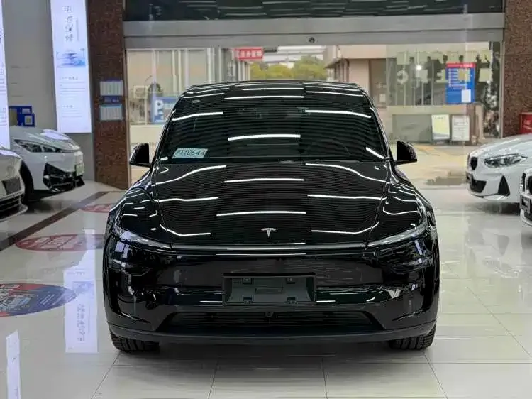 Tesla Model Y — фото 6