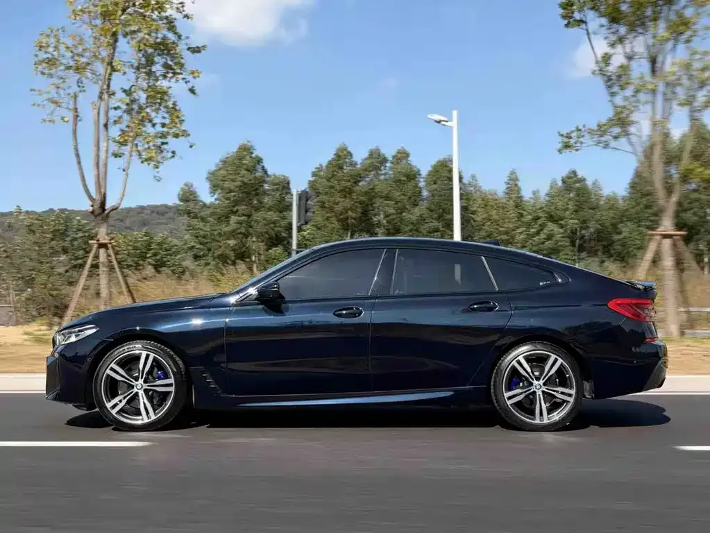 BMW 6 Series GT 2021 из CN, фото 4