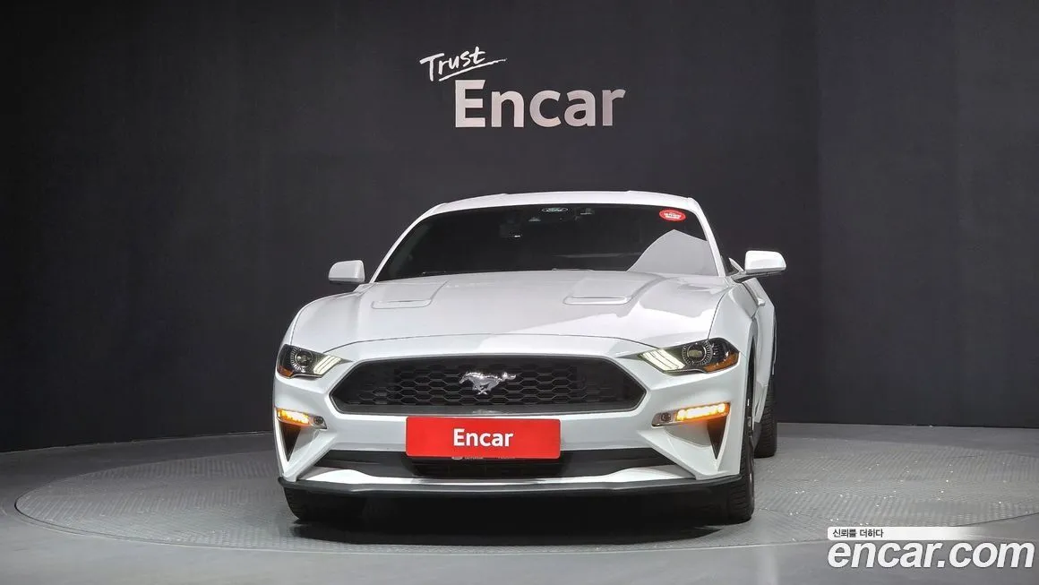 Ford Mustang 2023 из KR, фото 5
