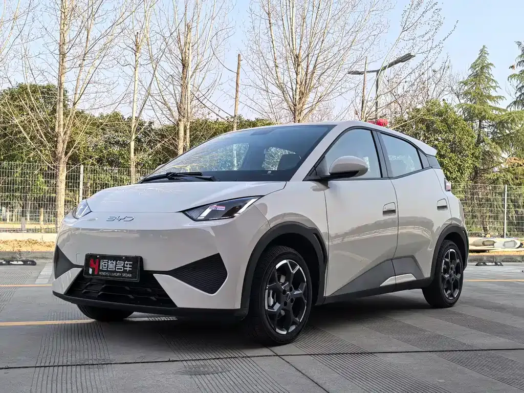 BYD Seagull