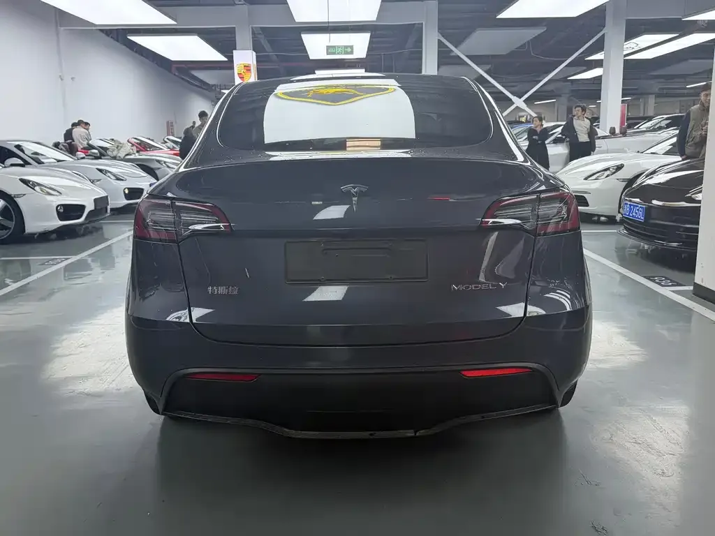 Tesla Model Y — фото 10