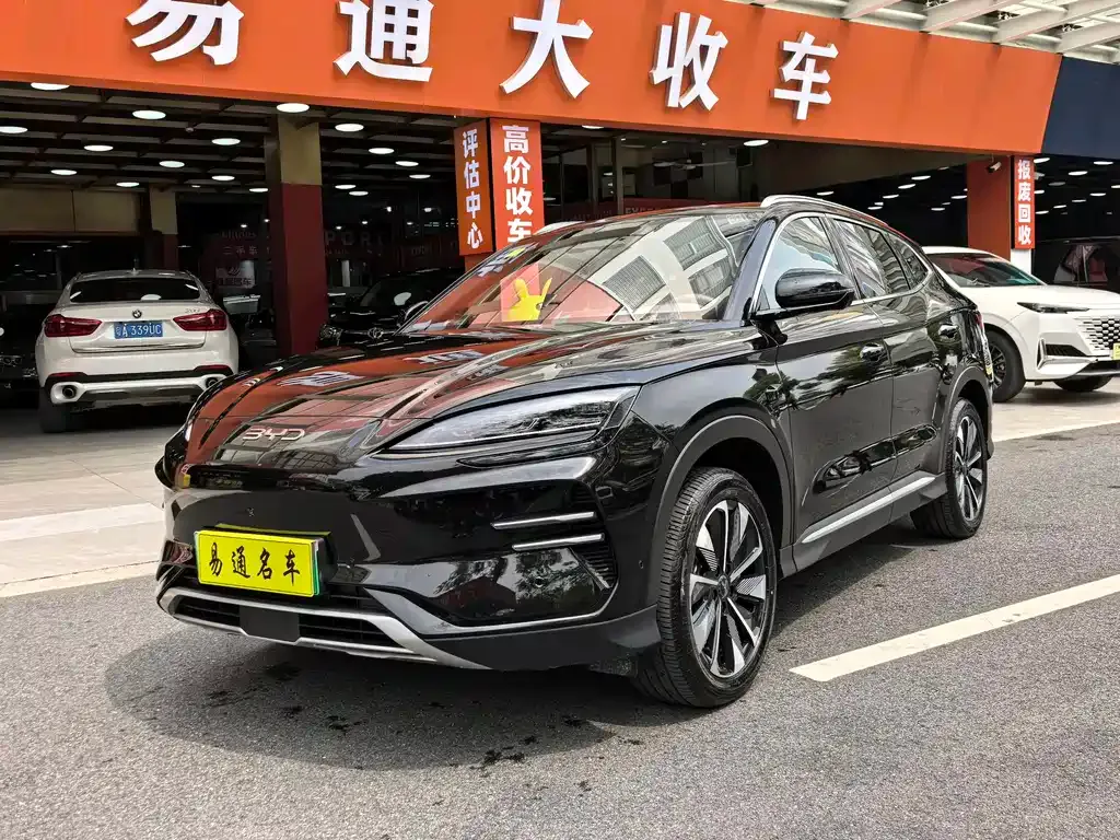 BYD PLUS New Energy 2025 из CN, фото 1