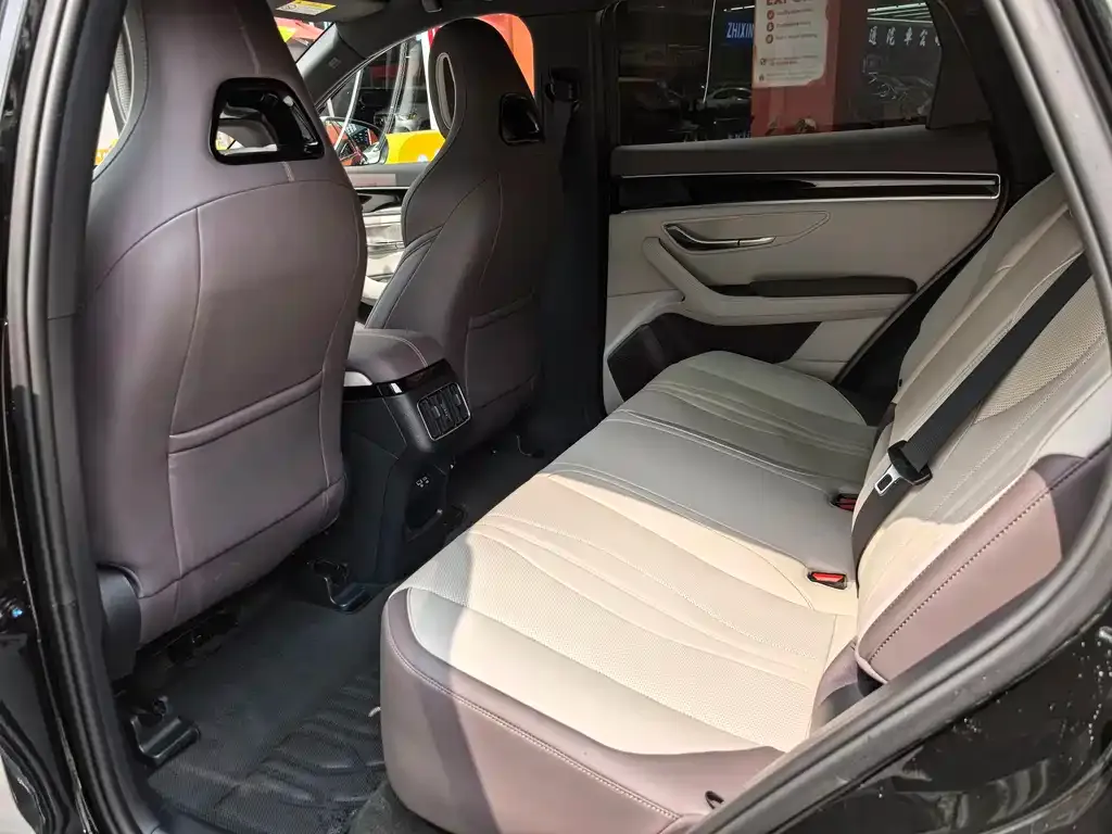 BYD PLUS New Energy 2025 из CN, фото 2