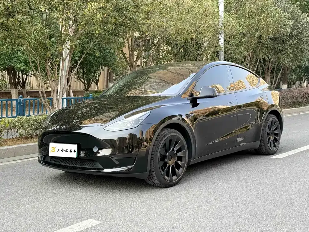 Tesla Model Y — фото 1