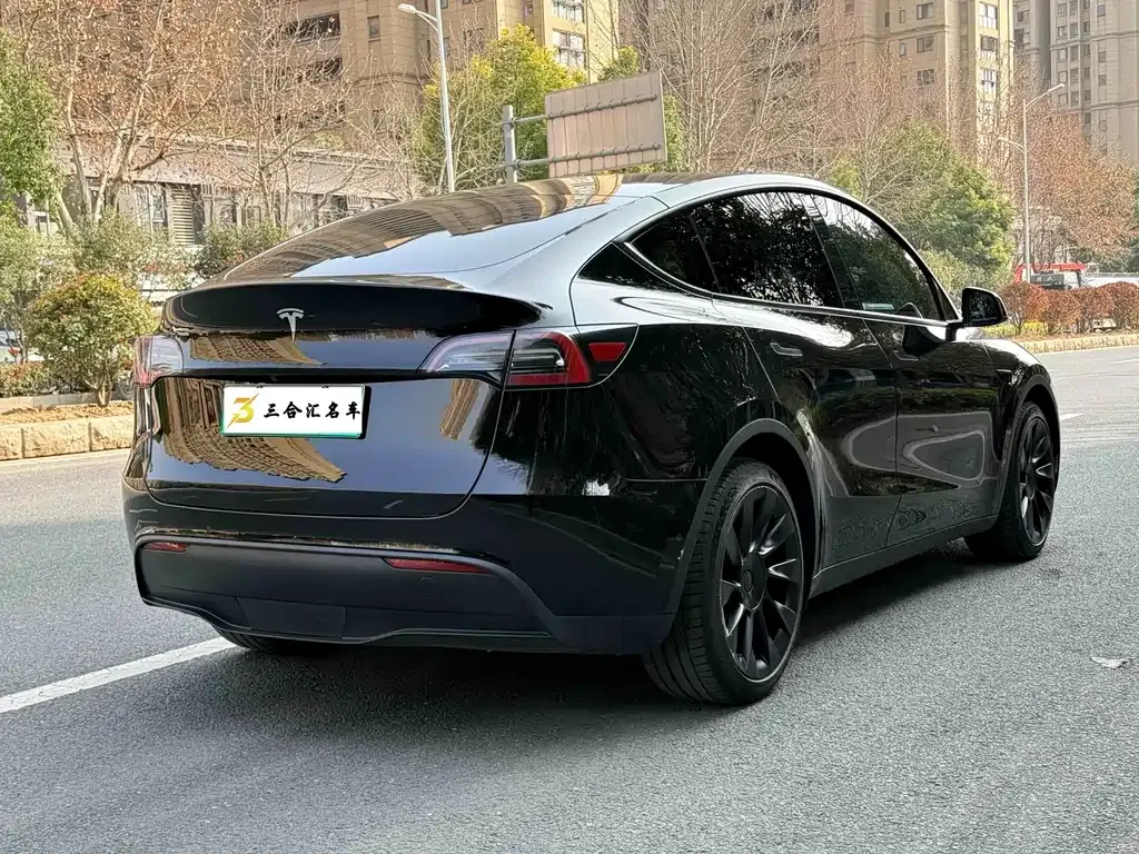 Tesla Model Y — фото 6