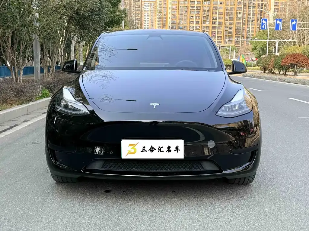 Tesla Model Y — фото 10