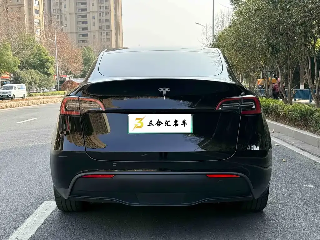Tesla Model Y — фото 3