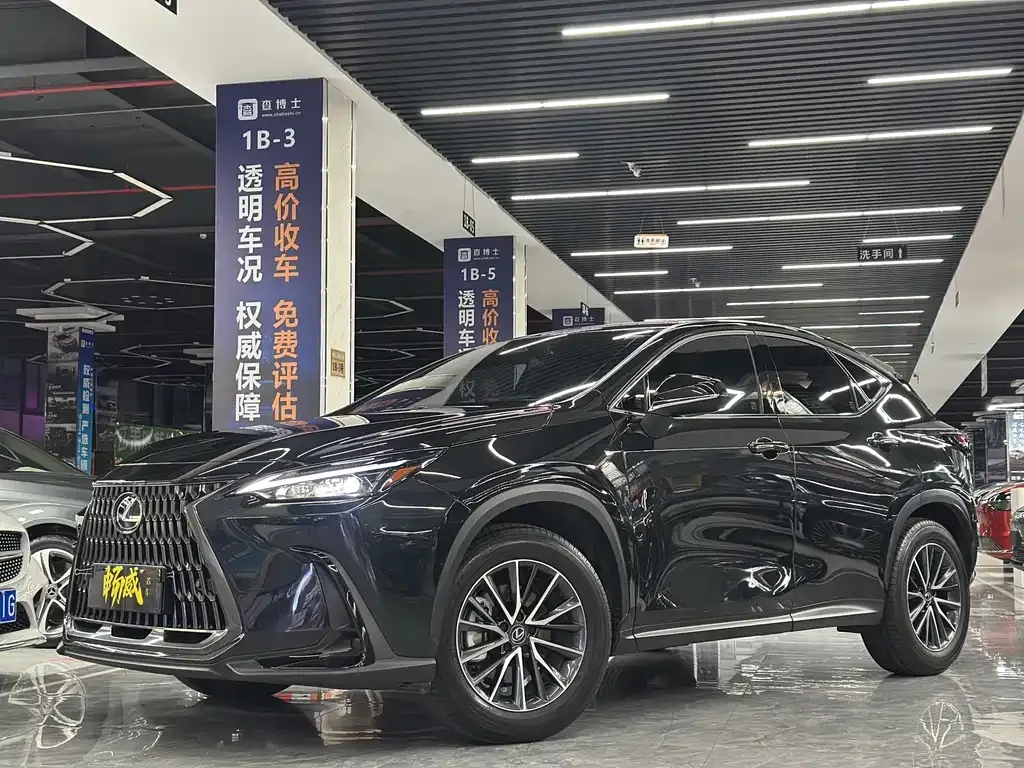 Lexus NX 2024 из CN, фото 1