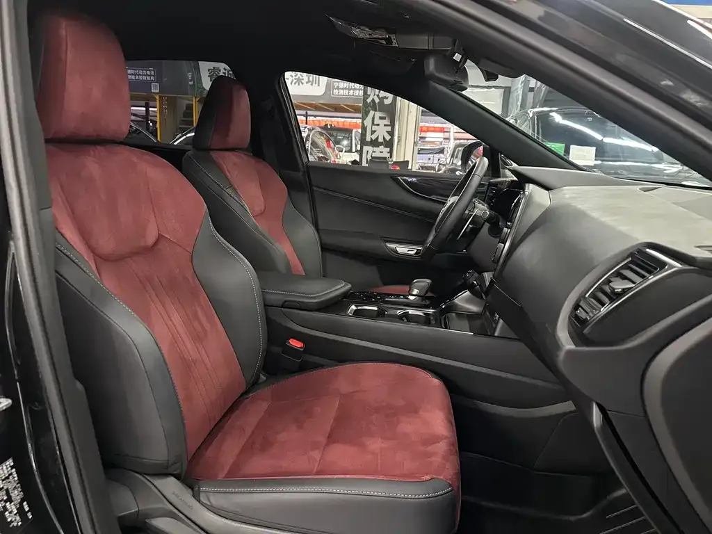 Lexus NX 2024 из CN, фото 4
