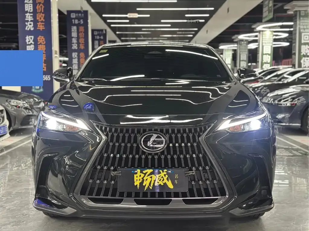 Lexus NX 2024 из CN, фото 9
