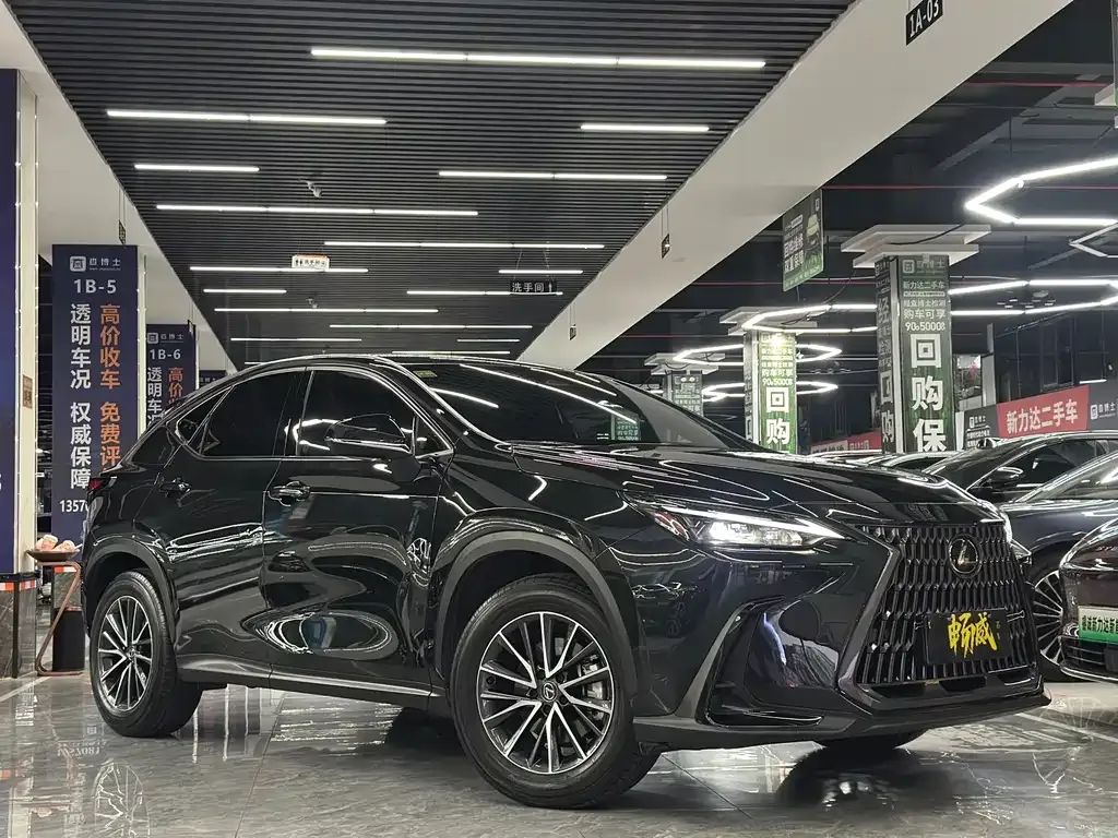 Lexus NX 2024 из CN, фото 7