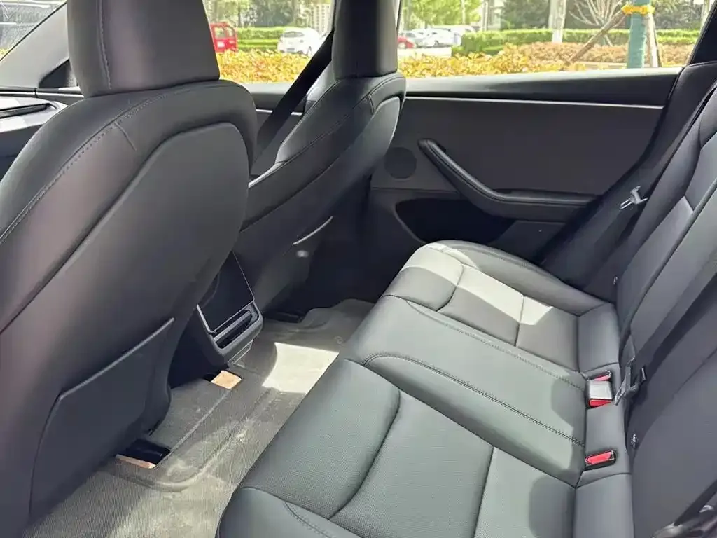 Tesla Model 3 2025 из CN, фото 3