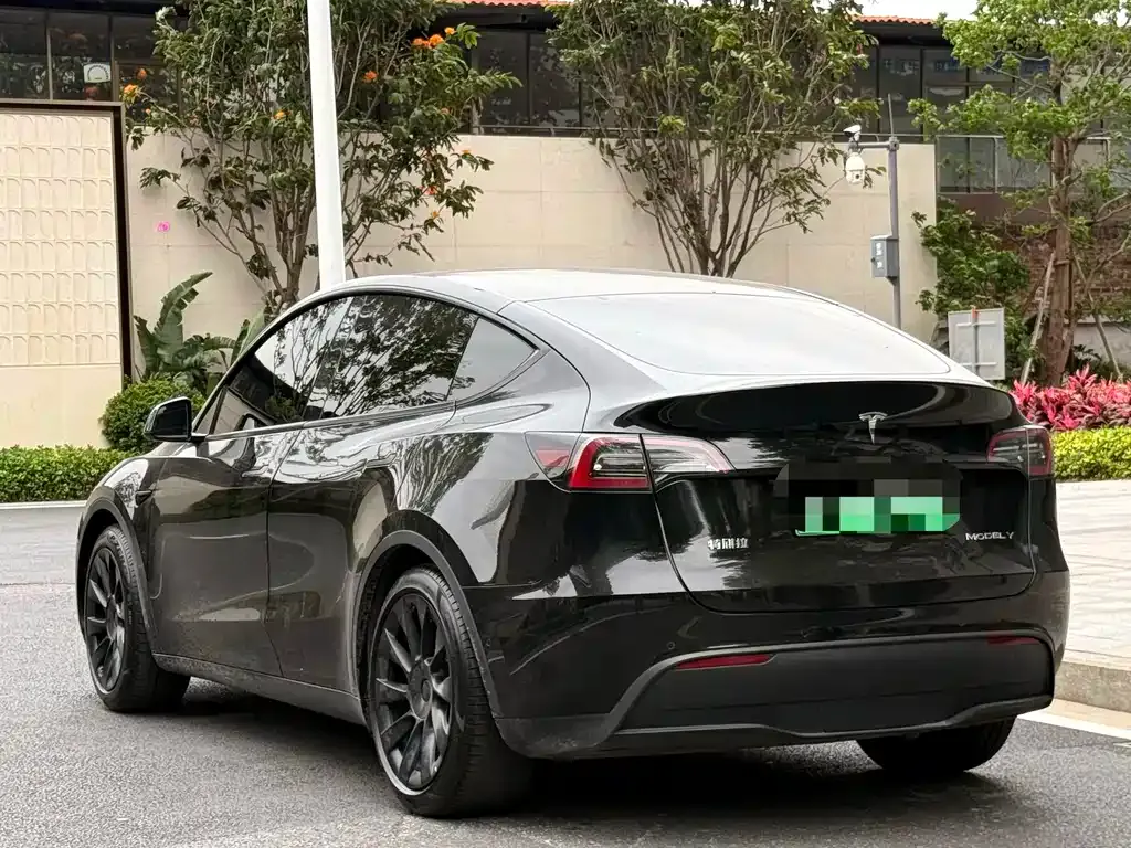 Tesla Model Y — фото 10