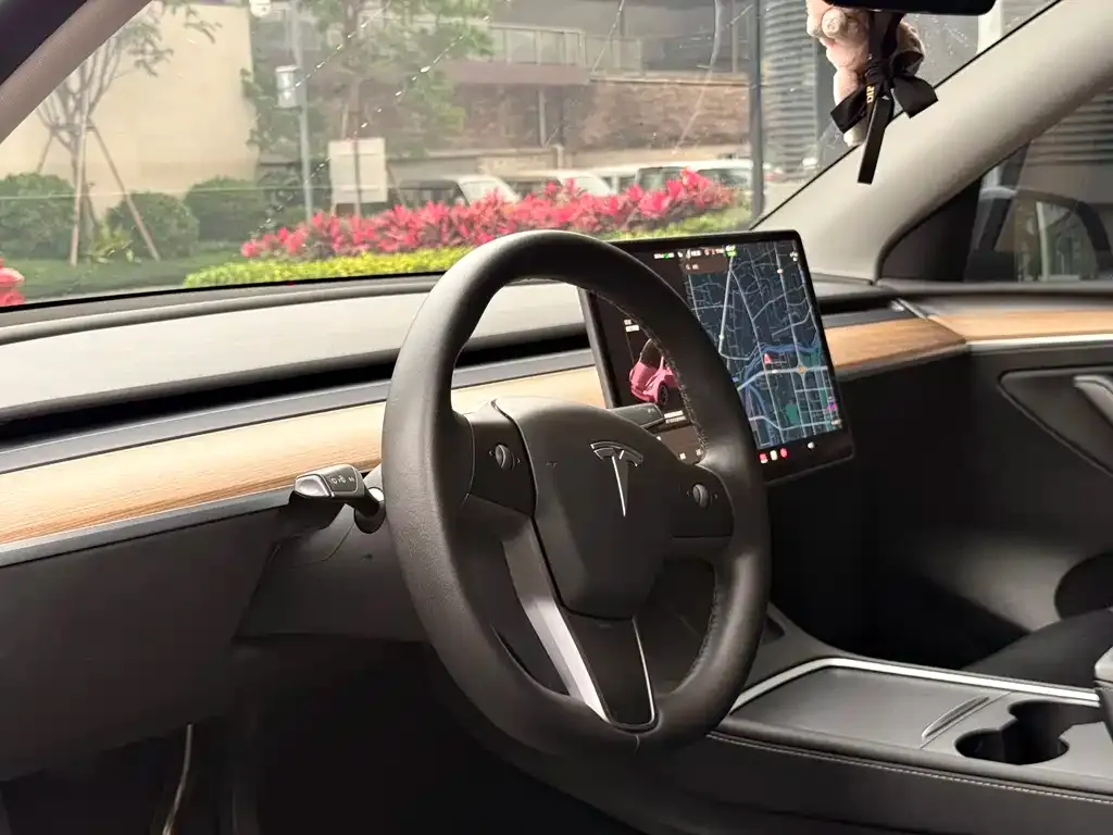Tesla Model Y — фото 2