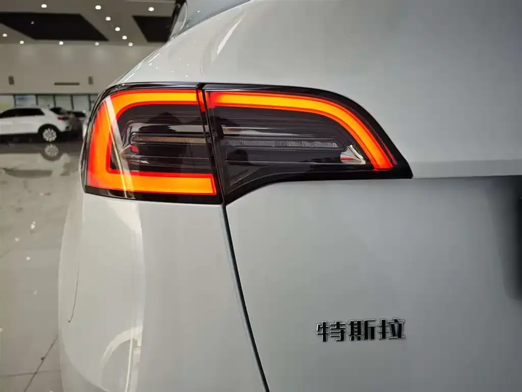Tesla Model Y — фото 10