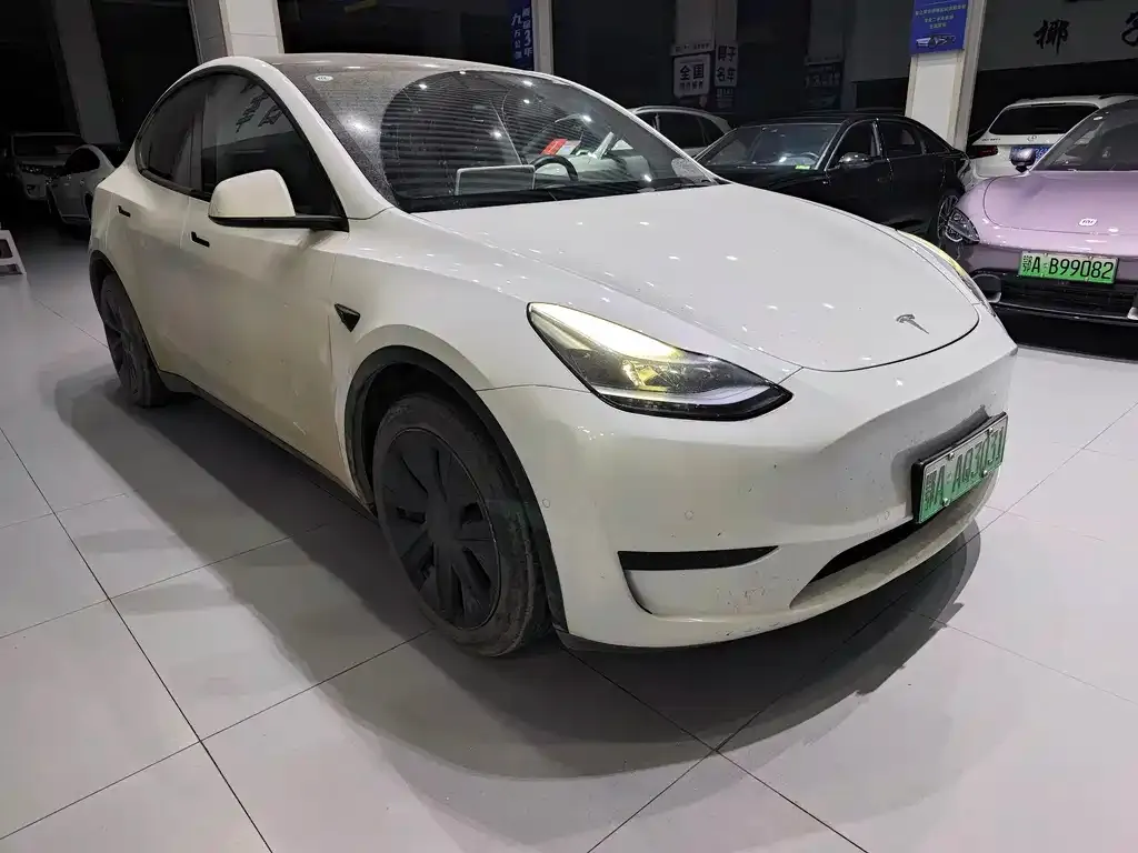 Tesla Model Y — фото 3