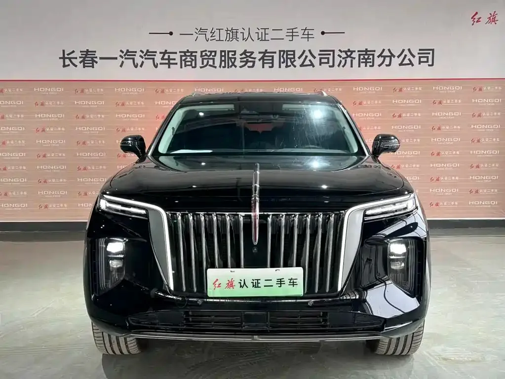 Hongqi E-HS9 — фото 7