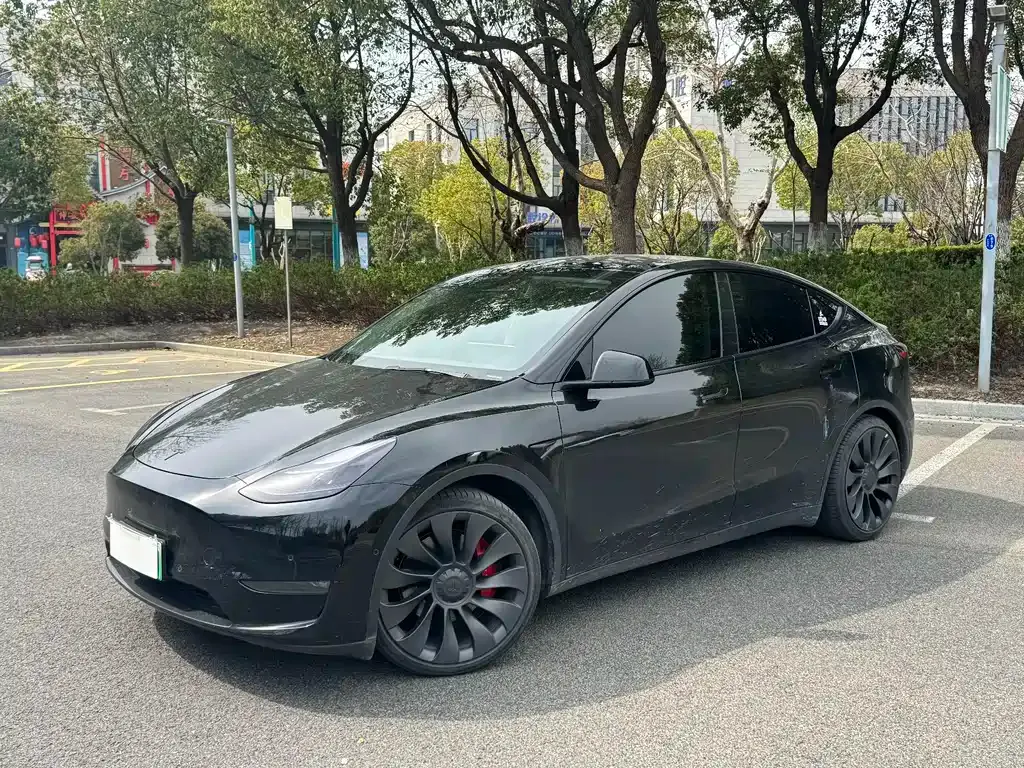 Tesla Model Y — фото 1