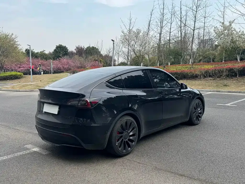 Tesla Model Y — фото 10