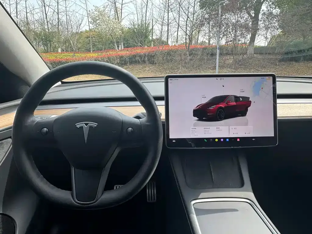 Tesla Model Y — фото 2