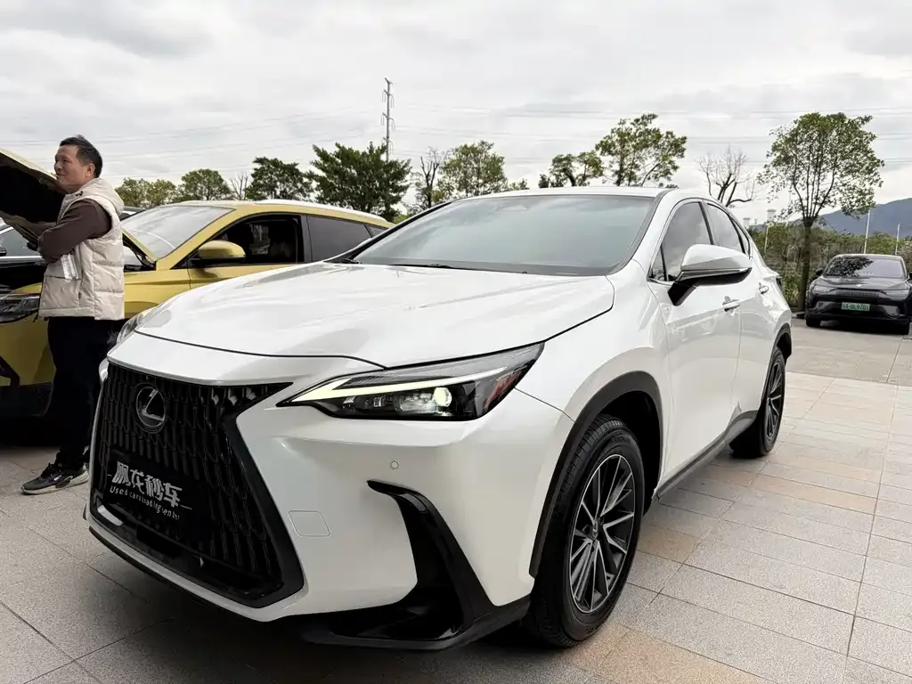 Lexus NX 2023 из CN, фото 1