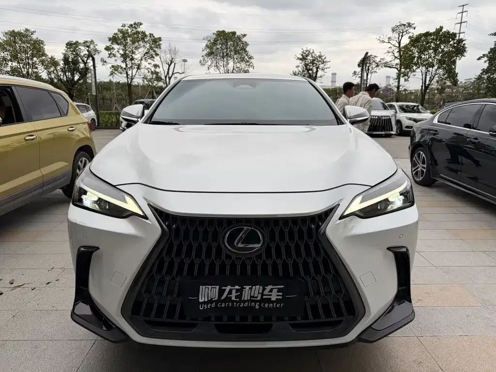 Lexus NX 2023 из CN, фото 6