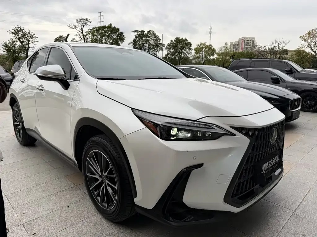 Lexus NX 2023 из CN, фото 9