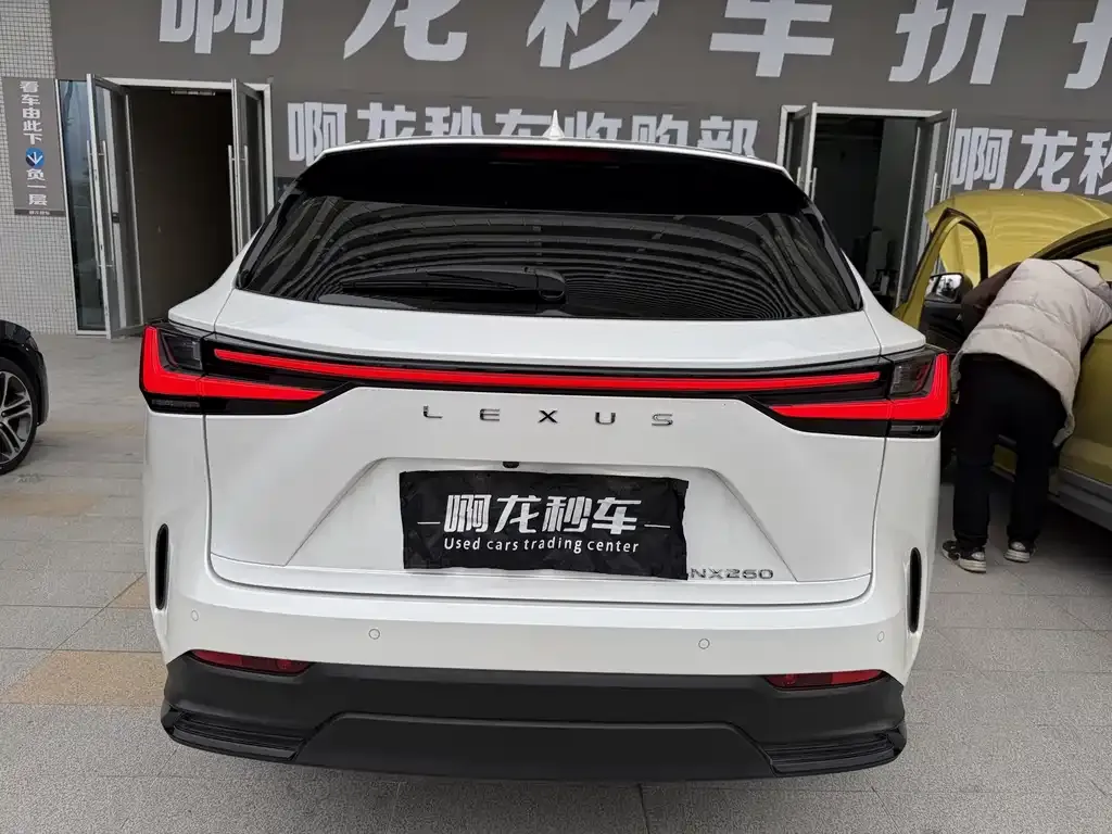 Lexus NX 2023 из CN, фото 5