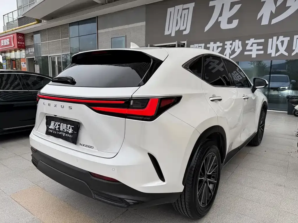 Lexus NX 2023 из CN, фото 4