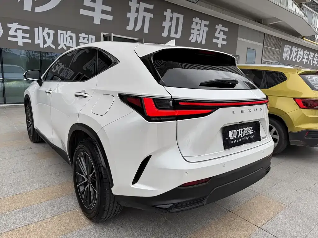 Lexus NX 2023 из CN, фото 8