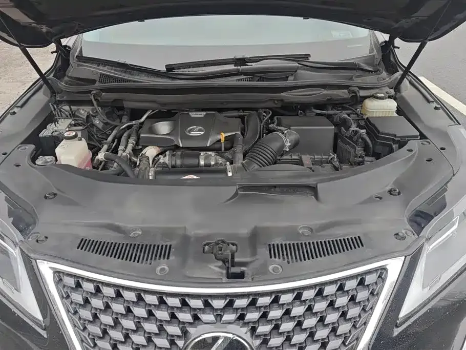 Lexus RX 2021 из CN, фото 8