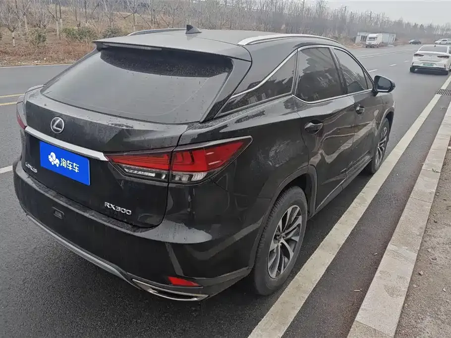 Lexus RX 2021 из CN, фото 9