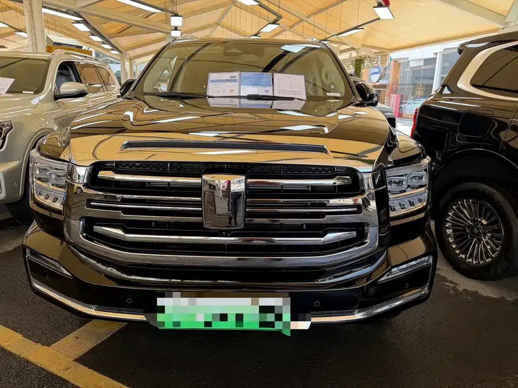 Tank 500 New Energy 2023 из CN, фото 10