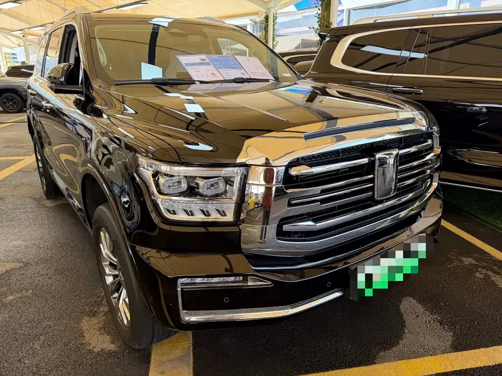 Tank 500 New Energy 2023 из CN, фото 4