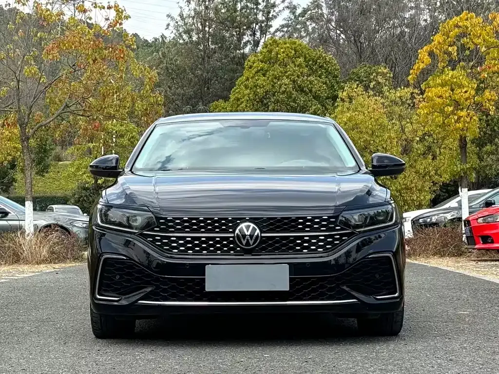 Volkswagen Passat — фото 8