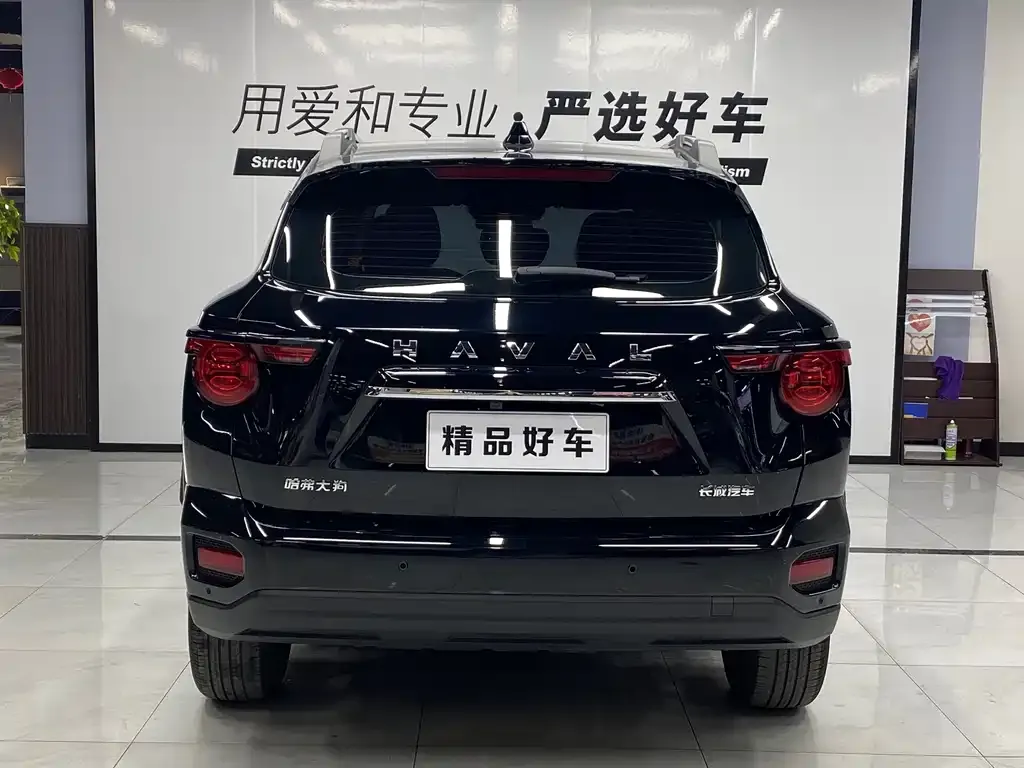 Haval H7 (Big Dog Plus) — фото 2