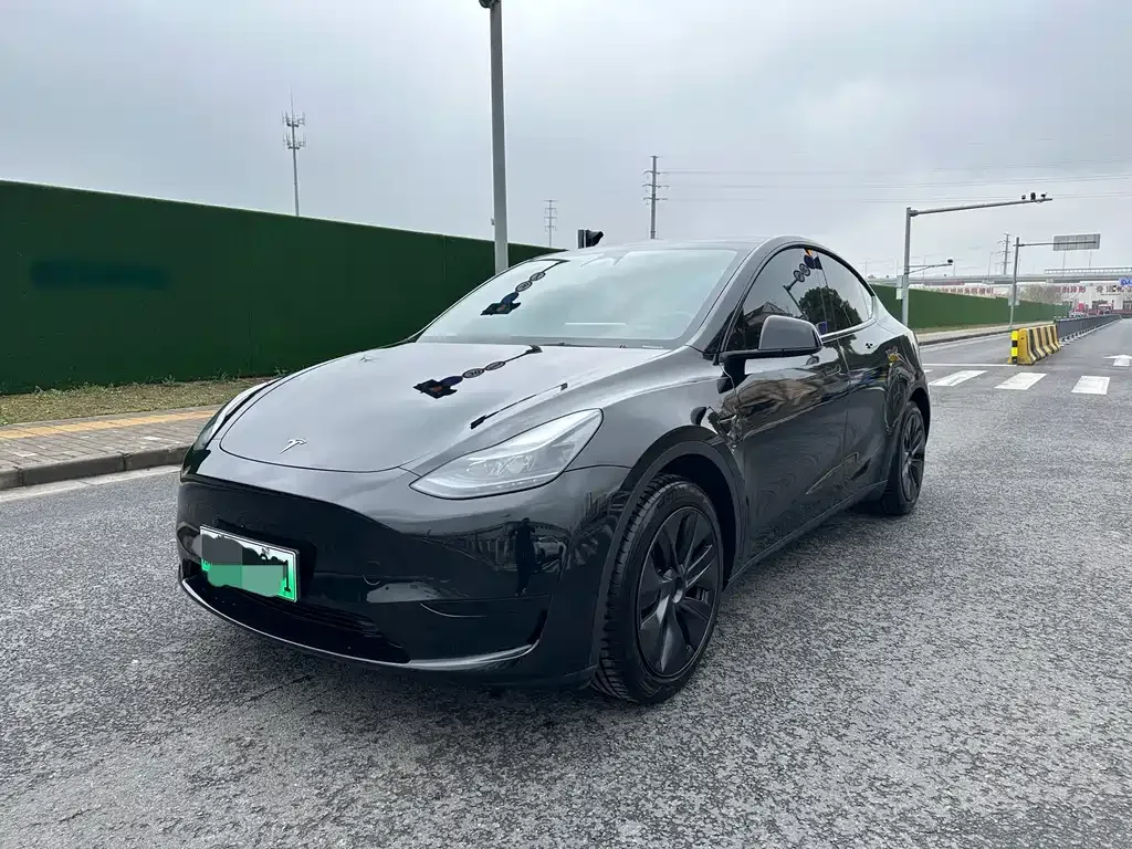 Tesla Model Y — фото 1