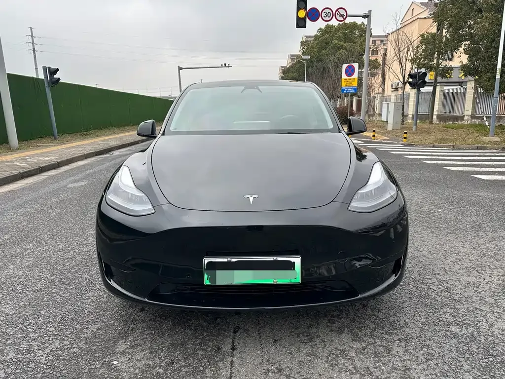 Tesla Model Y — фото 5