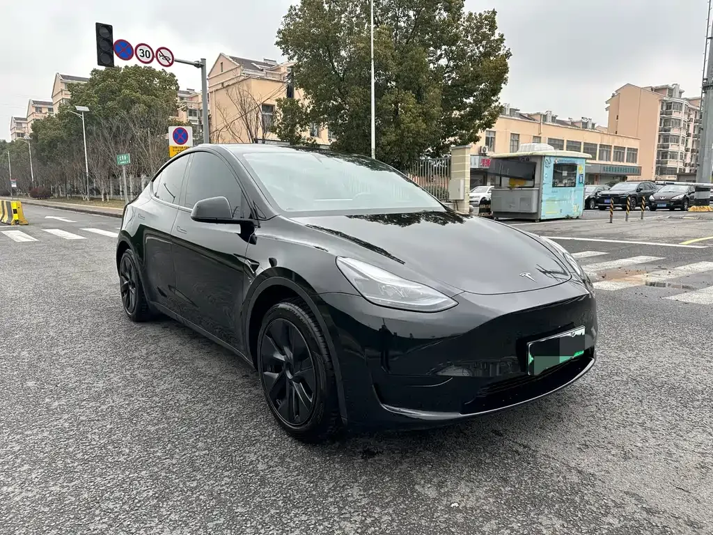 Tesla Model Y — фото 10