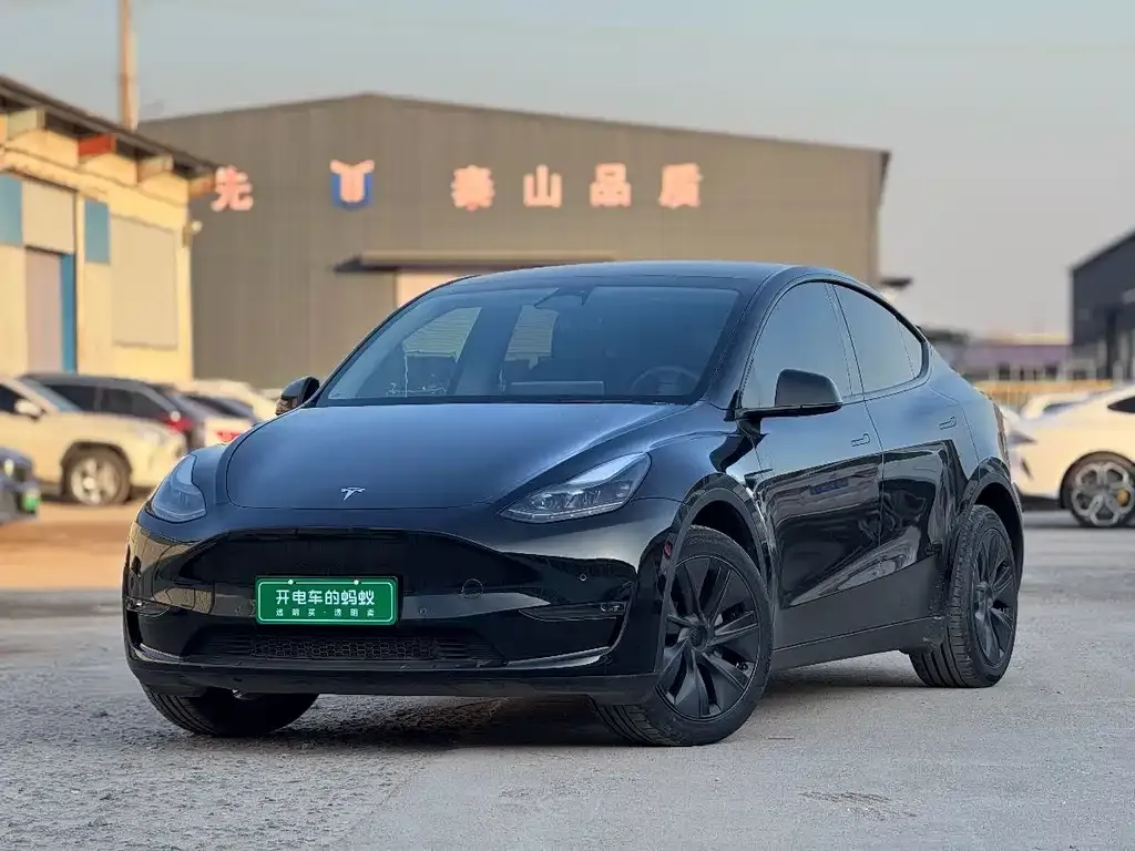 Tesla Model Y — фото 1