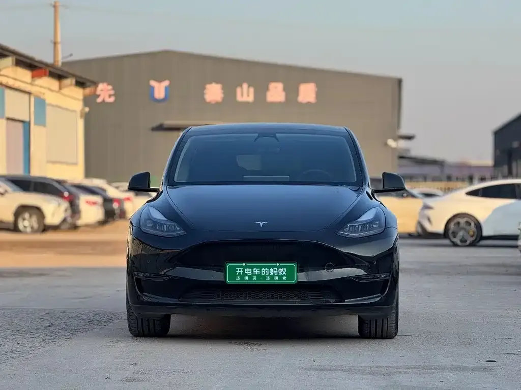 Tesla Model Y — фото 9