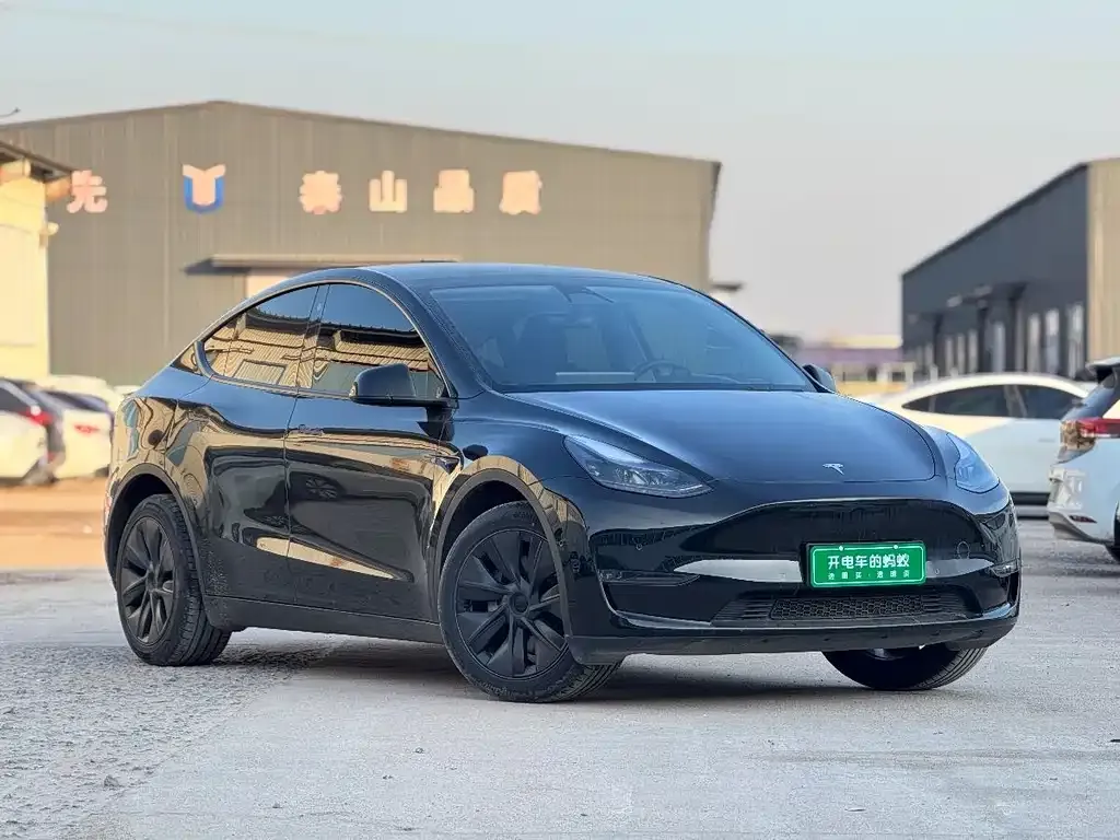 Tesla Model Y — фото 8