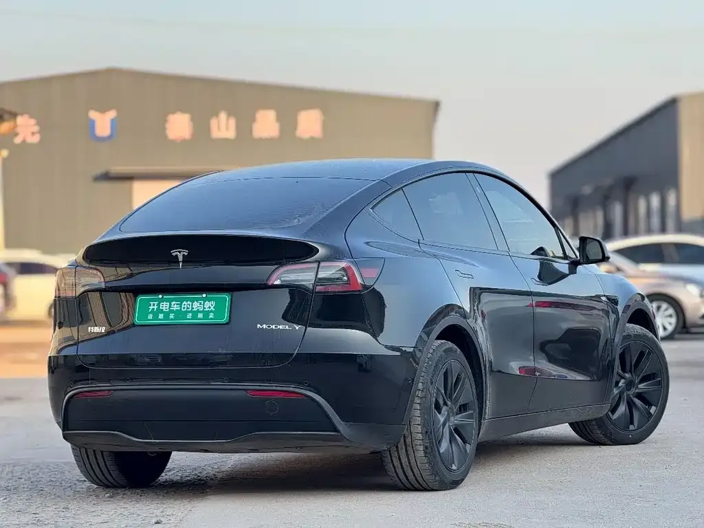 Tesla Model Y — фото 2