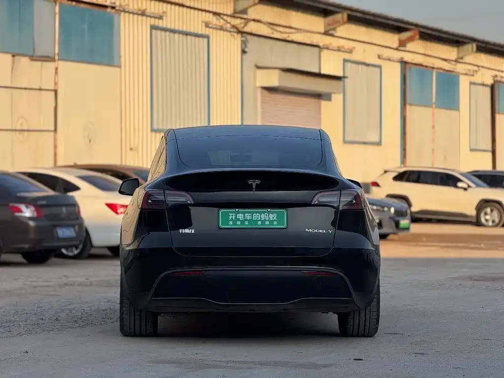 Tesla Model Y — фото 3